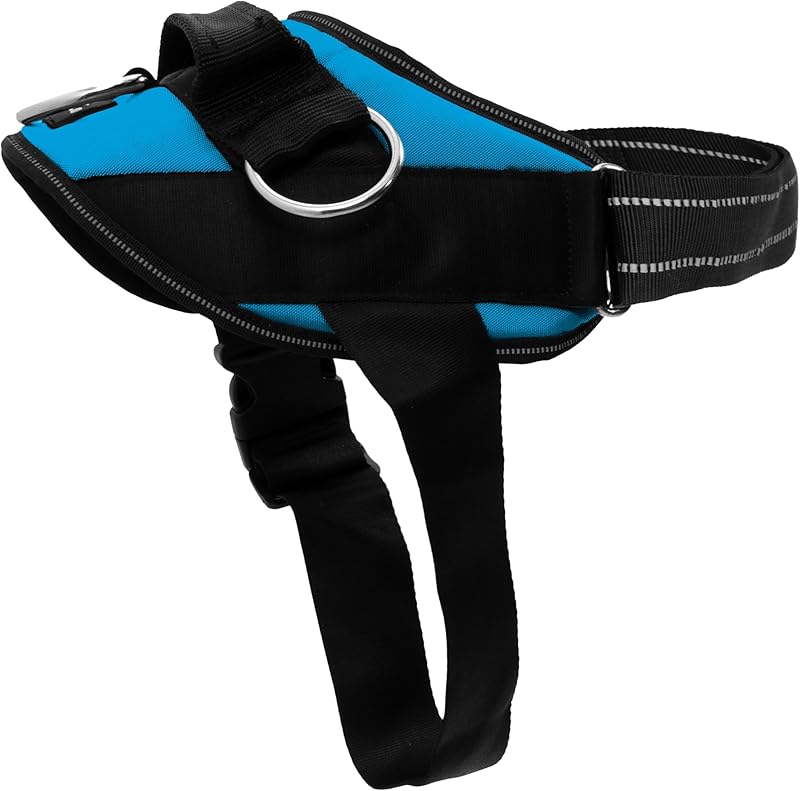 Arcadia trail Essential Reflective Adjustable Everyday